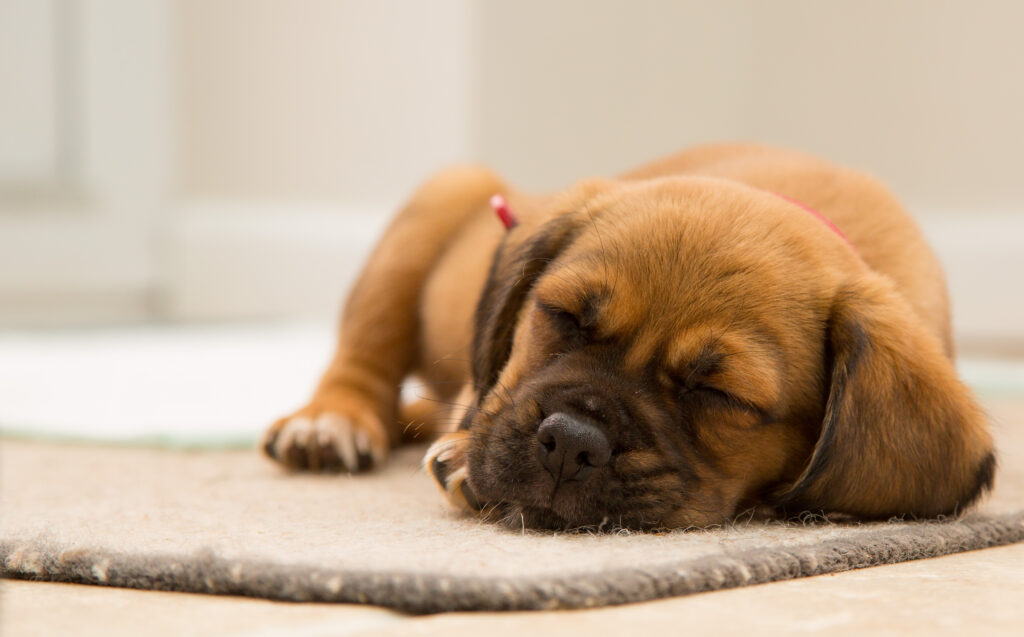 The Science Behind Residential Grease Trap Cleaning