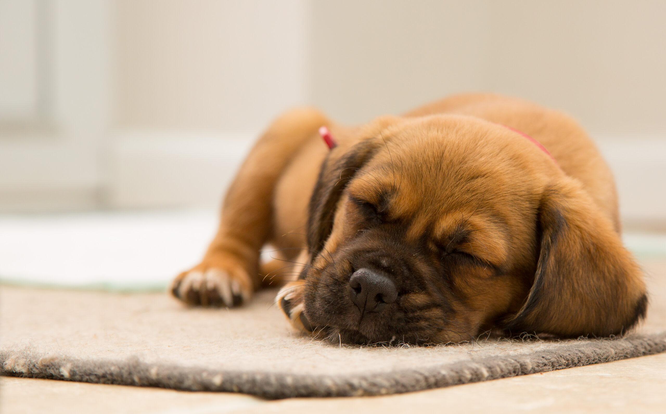 The Science Behind Residential Grease Trap Cleaning